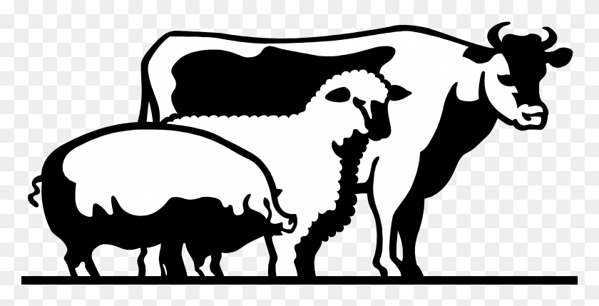 2860x1356 H Livestock Of Clipart Livestock Clipart, Cattle, Mammal, Animal HD PNG Download