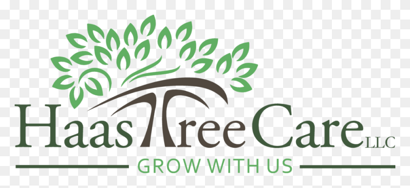960x400 Haas Tree Care Llc Is A Professional Tree Care Company Bernard Gilpin Primary School, Text, Alphabet, Label HD PNG Download