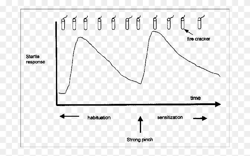 702x464 Habituation And Sensitization Exemplified By The Startle Habituation And Sensitization, Plot, Diagram, Measurements HD PNG Download