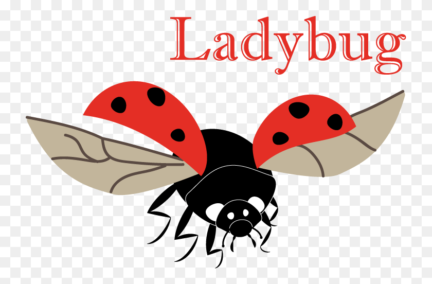 741x492 Had This Ladybug For My Animal Alphabet Done For Cartoon, Text, Angry Birds HD PNG Download
