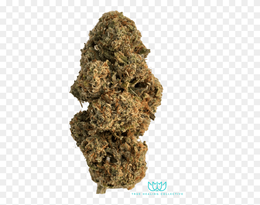399x603 Hades Og Is An Indica Dominant Collaboration Between Igneous Rock, Plant, Weed, Fungus HD PNG Download