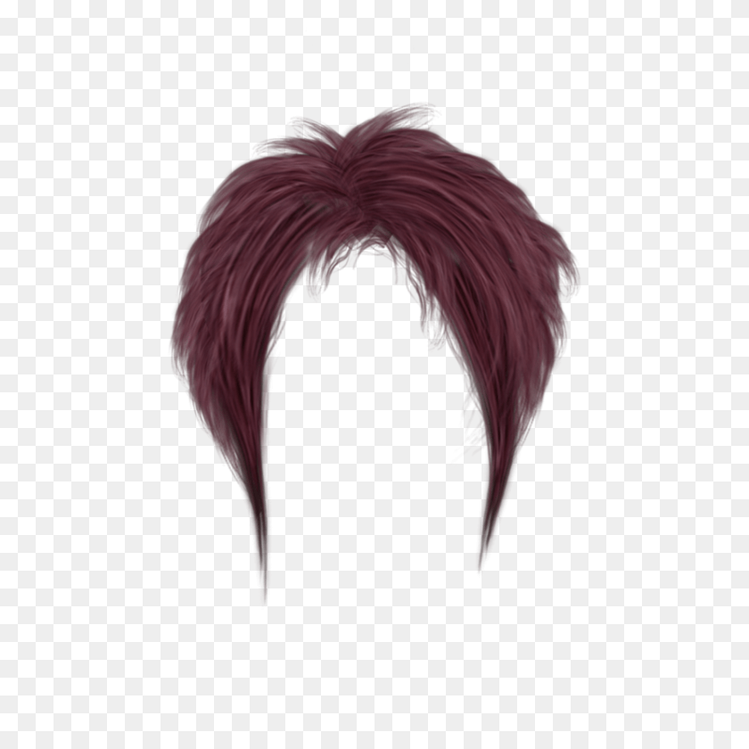 Hair, Animal, Bird, Accessories PNG
