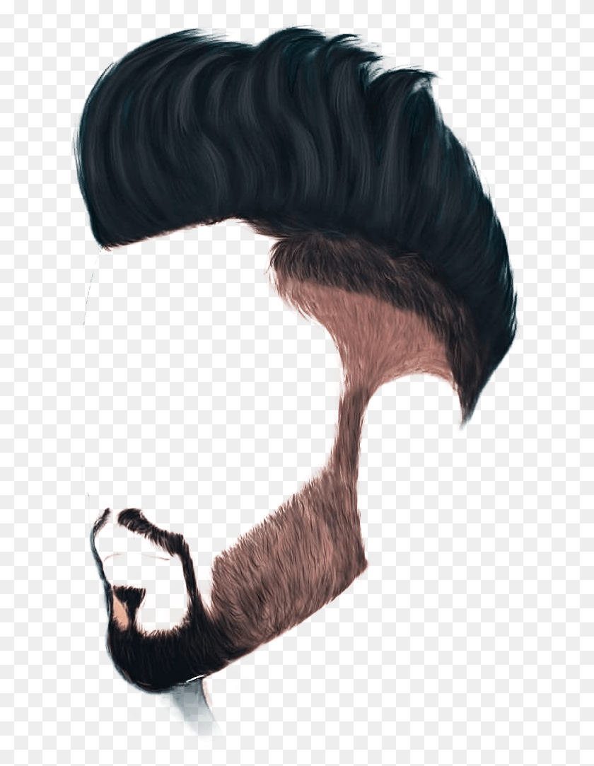 641x1023 Hair Amp Beard From Below Illustration, Bird, Animal, Person HD PNG Download
