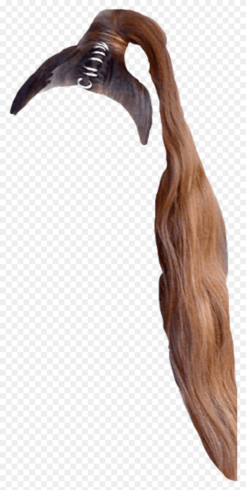 1024x2114 Волосы Arianagrande Arianahair Arianagrandehair Ponytail Driftwood, Парик, Краска Png Скачать