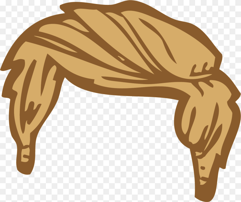 Hair Cliparts, Clothing, Scarf, Turban, Animal Sticker PNG