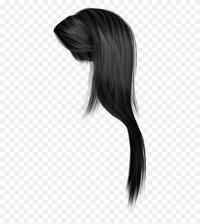 400x883 Hair Images Women And Men Hairs Images Girl Hair, Bird, Animal, Person HD PNG Download
