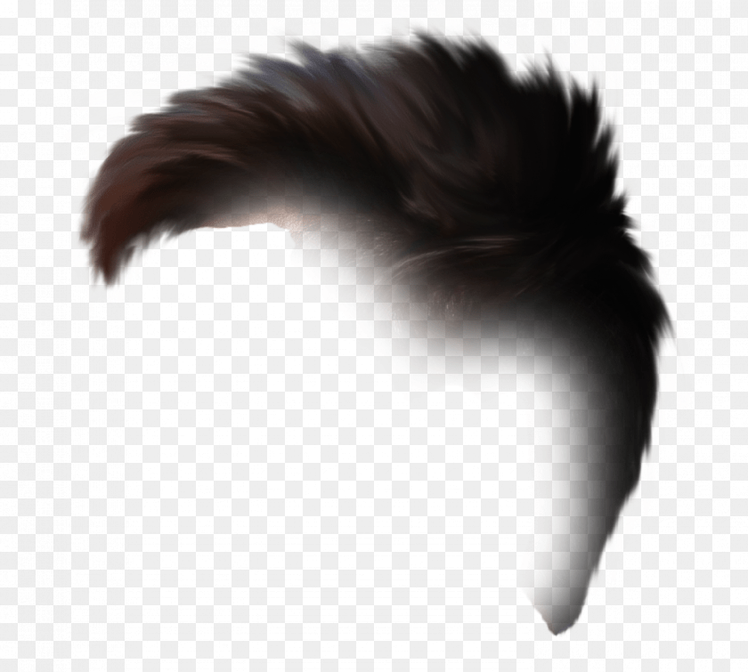 1020x917 Hair Monochrome, Animal, Bird, Electronics, Hardware Clipart PNG