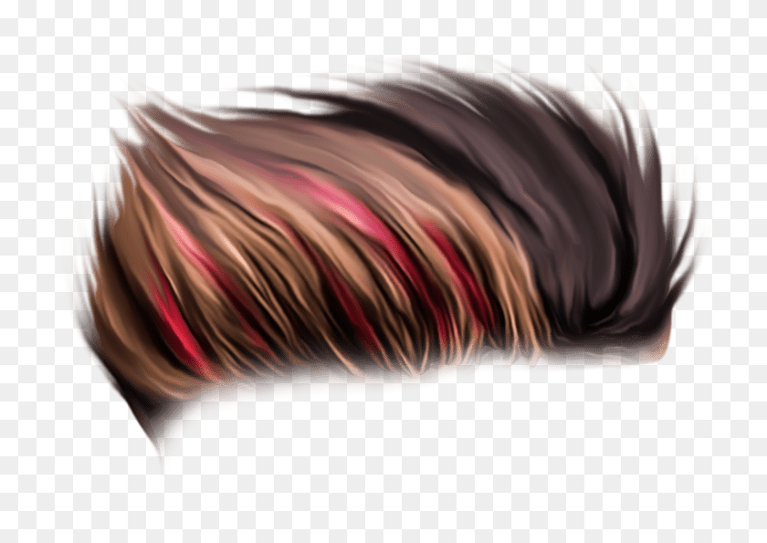 743x535 Hair Style For Editing, Pattern, Ornament, Sea Life HD PNG Download