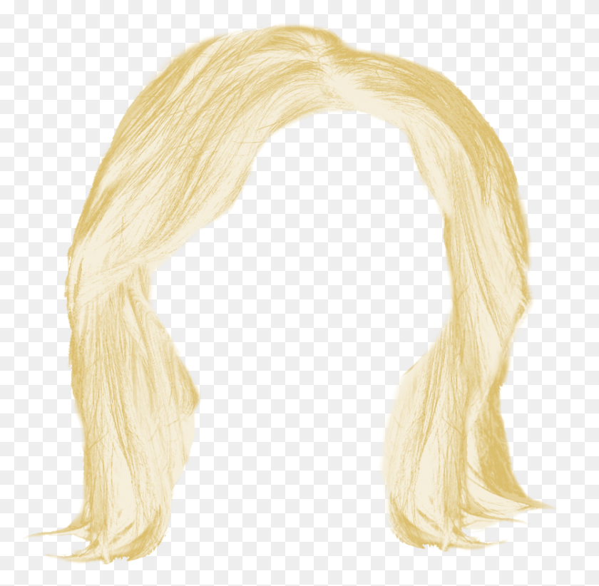835x816 Hair Transparent Pictures Free Icons And Backgrounds Transparent Background Long Blonde Hair, Bird, Animal, Clothing HD PNG Download