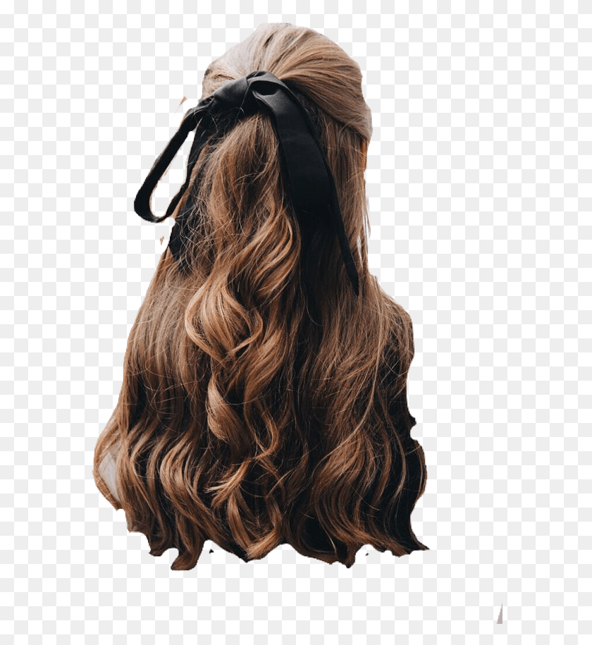586x855 Hairstyle Long Hair With Ribbon, Hair, Person, Human HD PNG Download