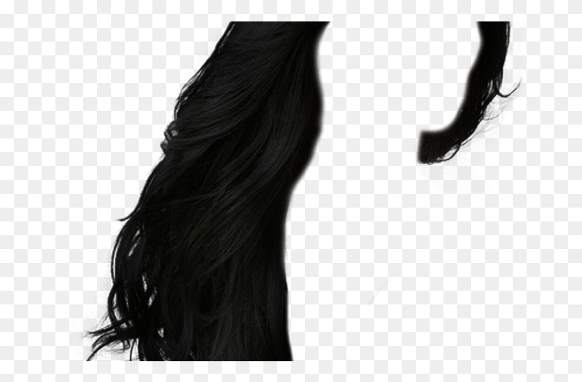 692x492 Hairstyles Transparent Images All Lace Wig, Person, Human, Hair HD PNG Download