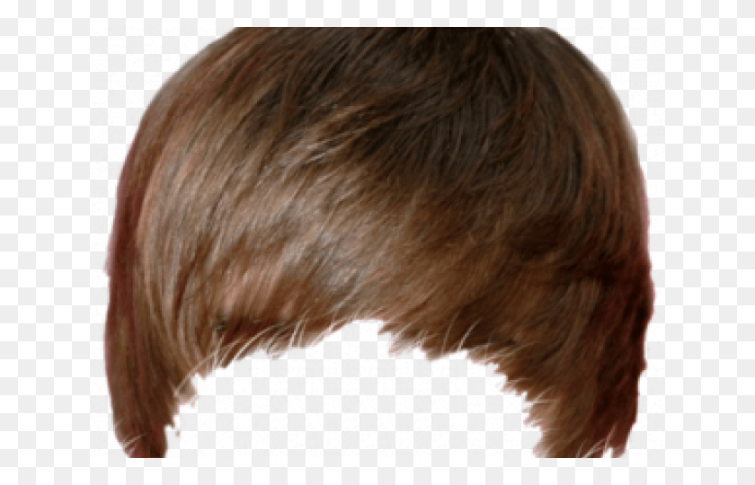 640x480 Hairstyles Transparent Images Justin Bieber Hair, Person, Human, Skin HD PNG Download