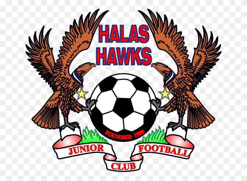 666x558 Halas Hawks Junior Football Club Coat Of Arms Of Ghana, Soccer Ball, Ball, Soccer HD PNG Download