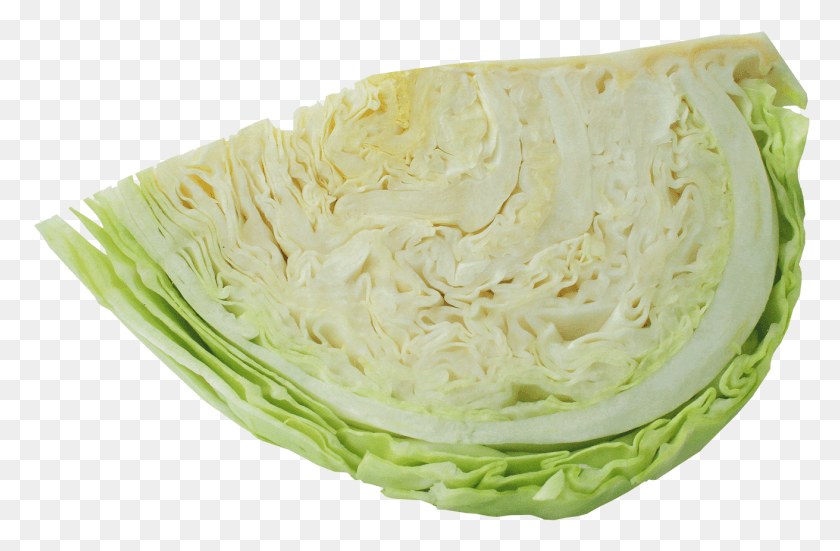 1311x826 Half Cabbage Image Cabbage, Plant, Vegetable, Food HD PNG Download