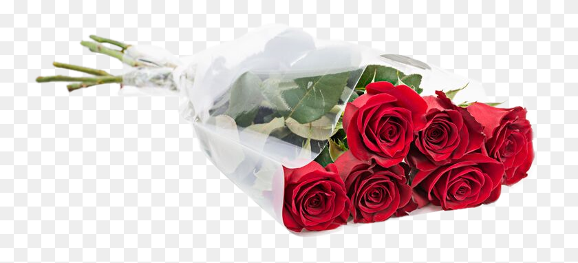744x322 Half Dozen Roses, Rose, Flower, Plant HD PNG Download