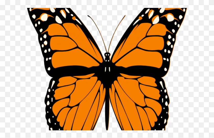 633x481 Half Life Clipart Butterfly Monarch Butterfly Transparent Clipart, Monarch, Insect, Invertebrate HD PNG Download