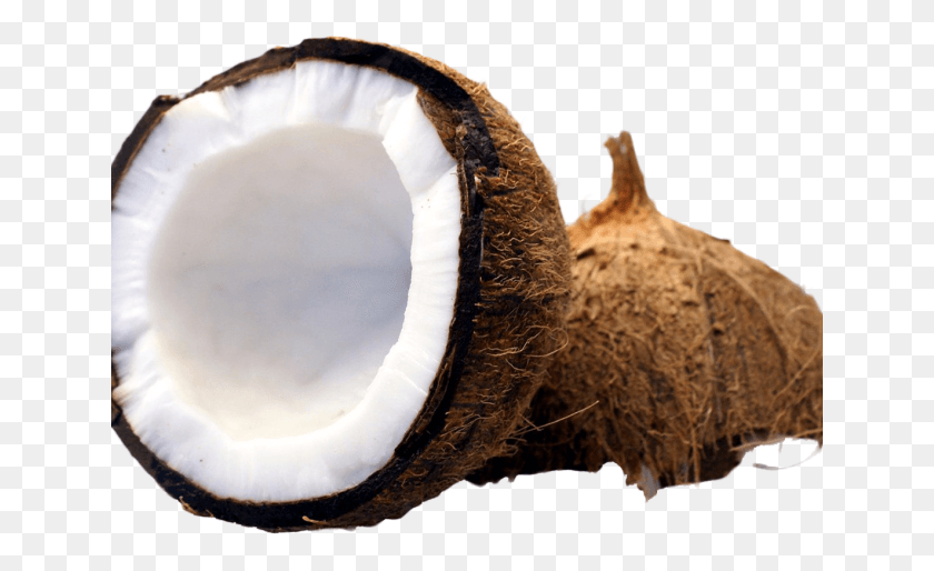 641x454 Half Life Clipart Coconut Cut Coconut, Plant, Nut, Vegetable HD PNG Download