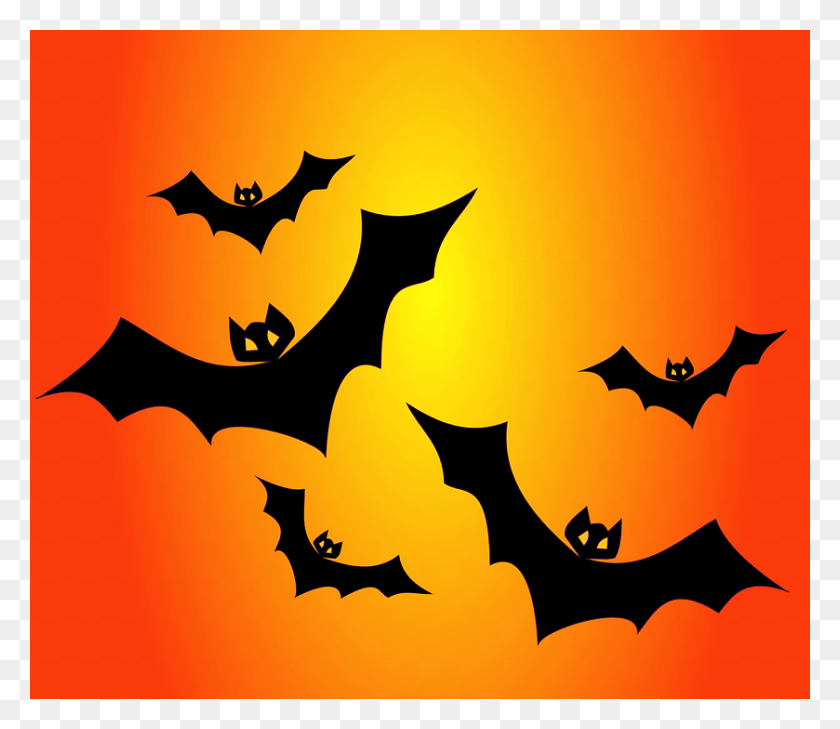 839x720 Halloween Bats Bats Halloween Decoration, Symbol, Bird, Animal HD PNG Download
