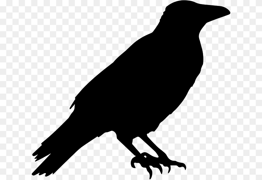 640x577 Halloween Crow Picture, Gray Sticker PNG