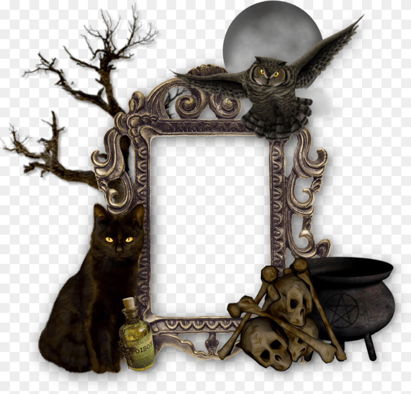 1000x960 Halloween Frame Tree, Animal, Bird, Bronze, Person Sticker PNG