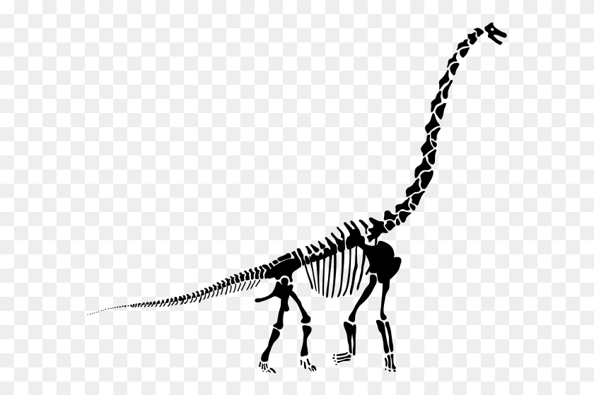 595x499 Хэллоуин Костюмы Скелетов Брахиозавр, Серый, Мир Варкрафта Png Скачать