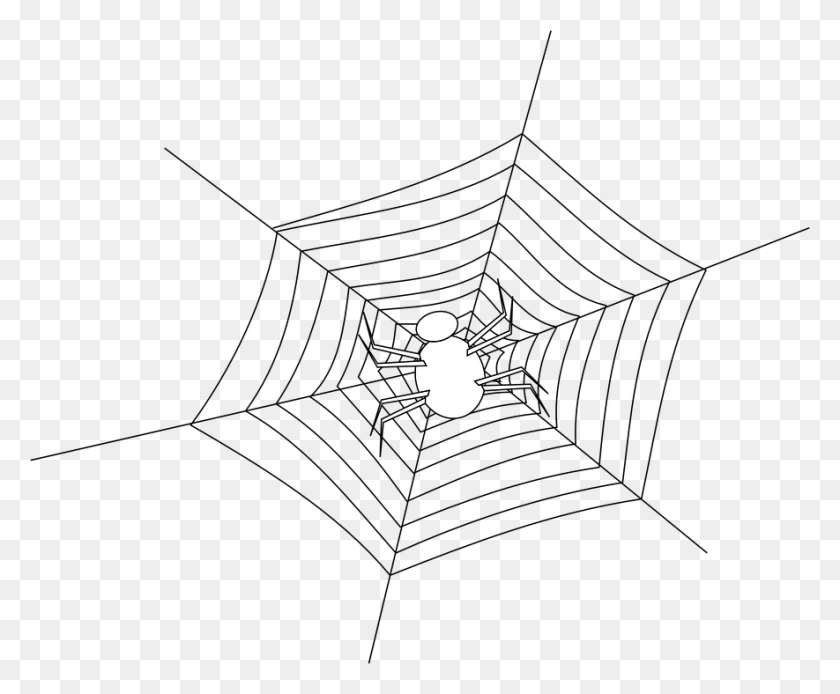885x720 Halloween Spider Web Image Spider Outline, Ceiling Fan, Appliance, Invertebrate HD PNG Download