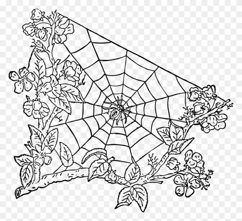 793x720 Halloween Spider Web Image With Transparent Background Spider Web Transparent, Gray, World Of Warcraft HD PNG Download