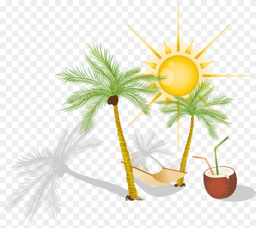 1585x1412 Hammock Arecaceae Clip Art, Tree, Summer, Produce, Plant Sticker PNG