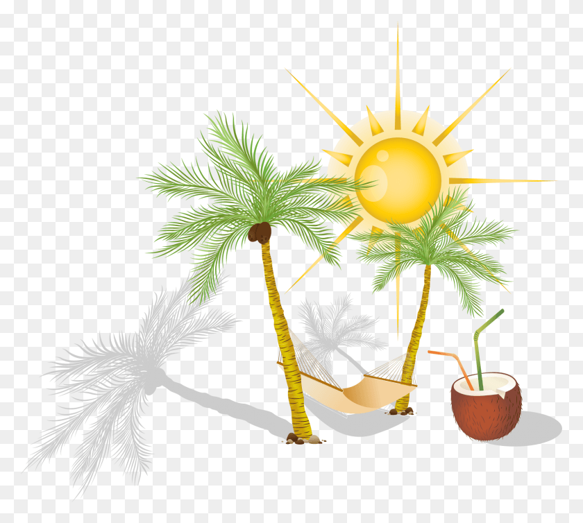 1585x1412 Hammock Arecaceae Clip Art Palm Tree Hammock, Plant, Tree, Furniture HD PNG Download