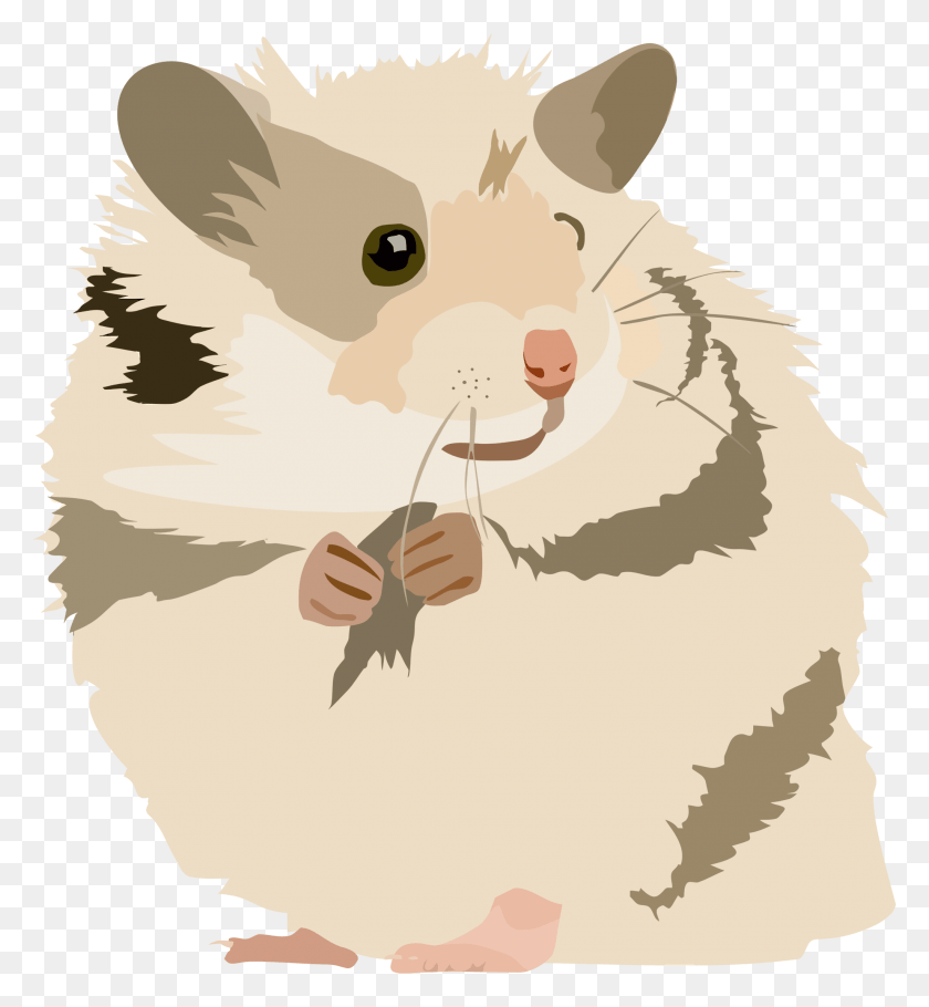 2050x2236 Hamster Clipart Hamster Clipart, Rodent, Mammal, Animal HD PNG Download