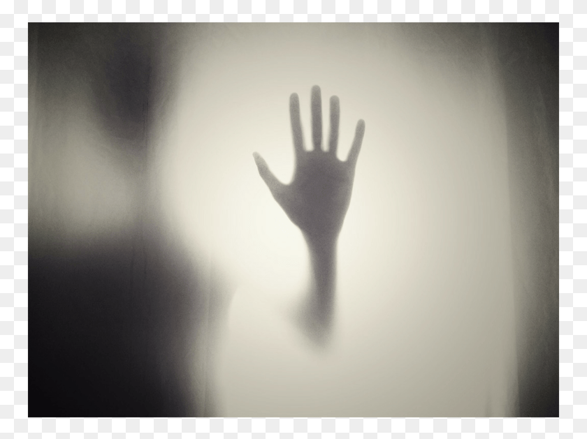 763x569 Hand Against Frosted Glass Relationship Breakup, Nature, Fog, Bird HD PNG Download