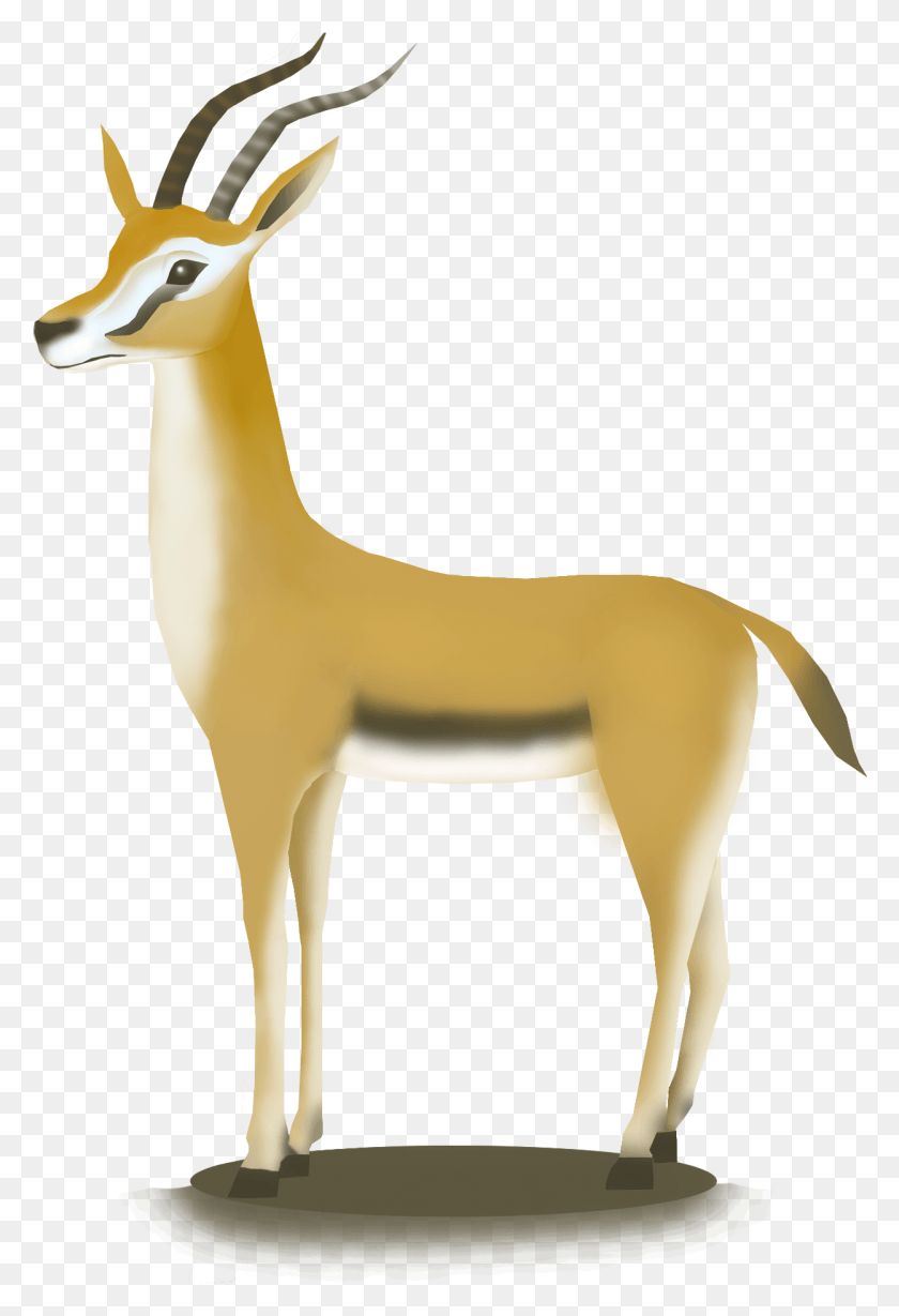 1249x1873 Hand Drawn African Antelope Animal And Psd Antelope, Wildlife, Mammal, Gazelle HD PNG Download