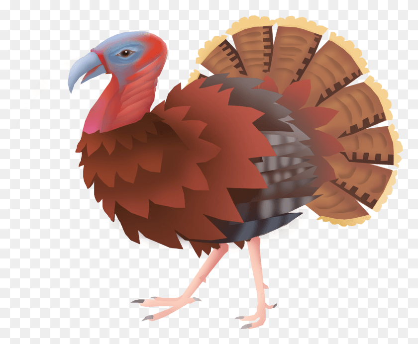 1803x1463 Hand Drawn Animal Turkey And Psd Turkey, Bird, Beak, Turkey Bird HD PNG Download