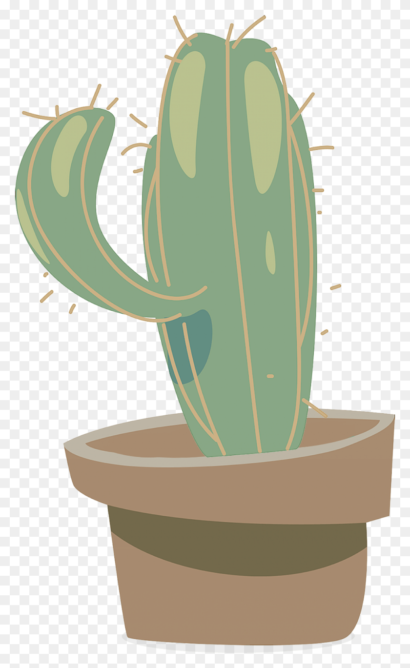 962x1615 Hand Drawn Fresh Plant Cactus And Psd Cactus HD PNG Download