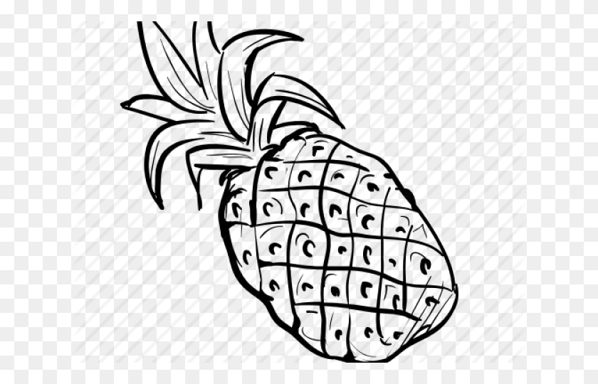 640x480 Hand Drawn Fruit, Rug, Plant, Text HD PNG Download
