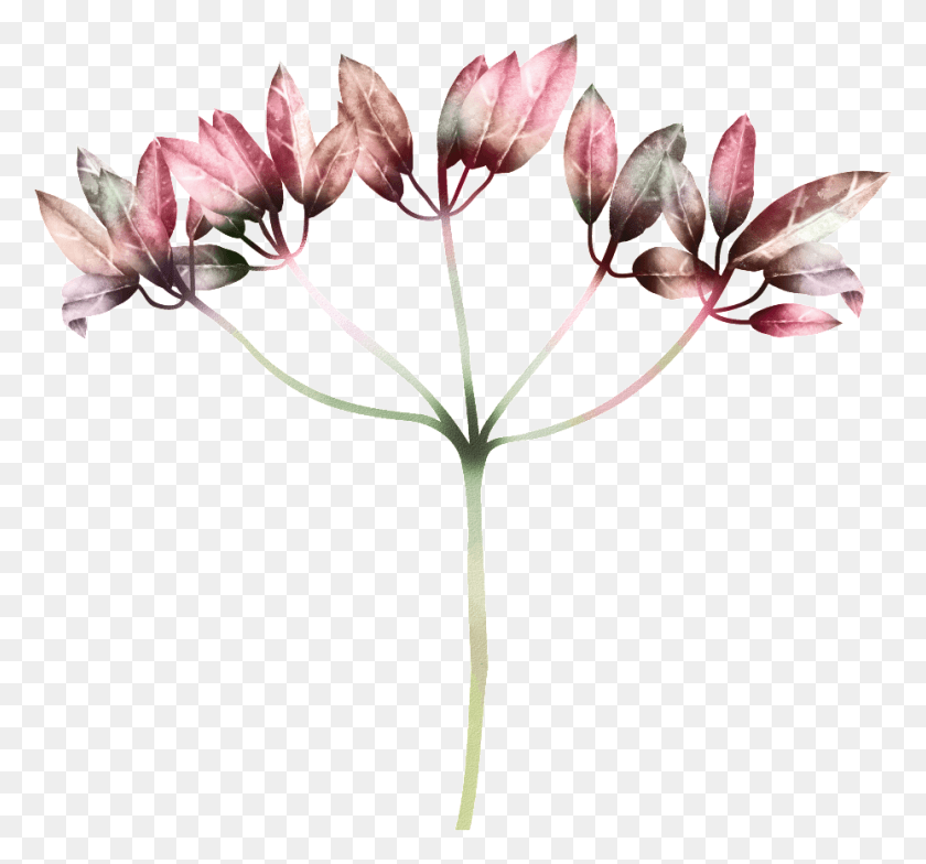 928x862 Hand Drawn Gradient Color Leaves Transparent, Plant, Flower, Blossom Descargar Hd Png