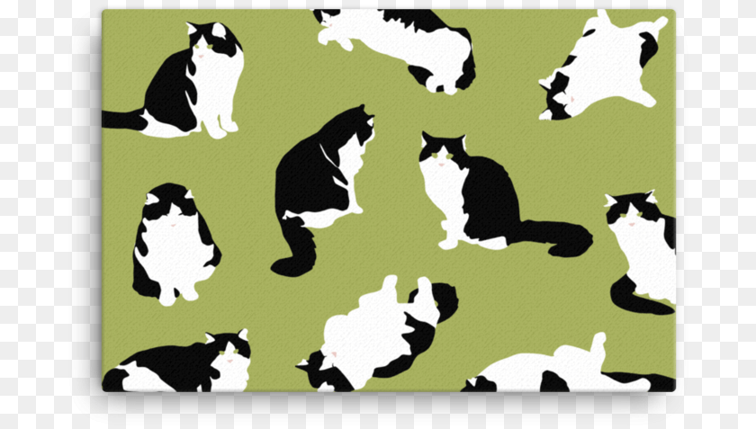 698x477 Hand Drawn Graphic Cat Canvas Tuxedo Cat Vector, Animal, Mammal, Pet, Home Decor PNG