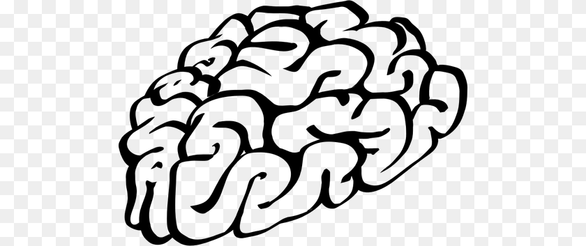 500x353 Hand Drawn Human Brain Vector Drawing, Gray Transparent PNG