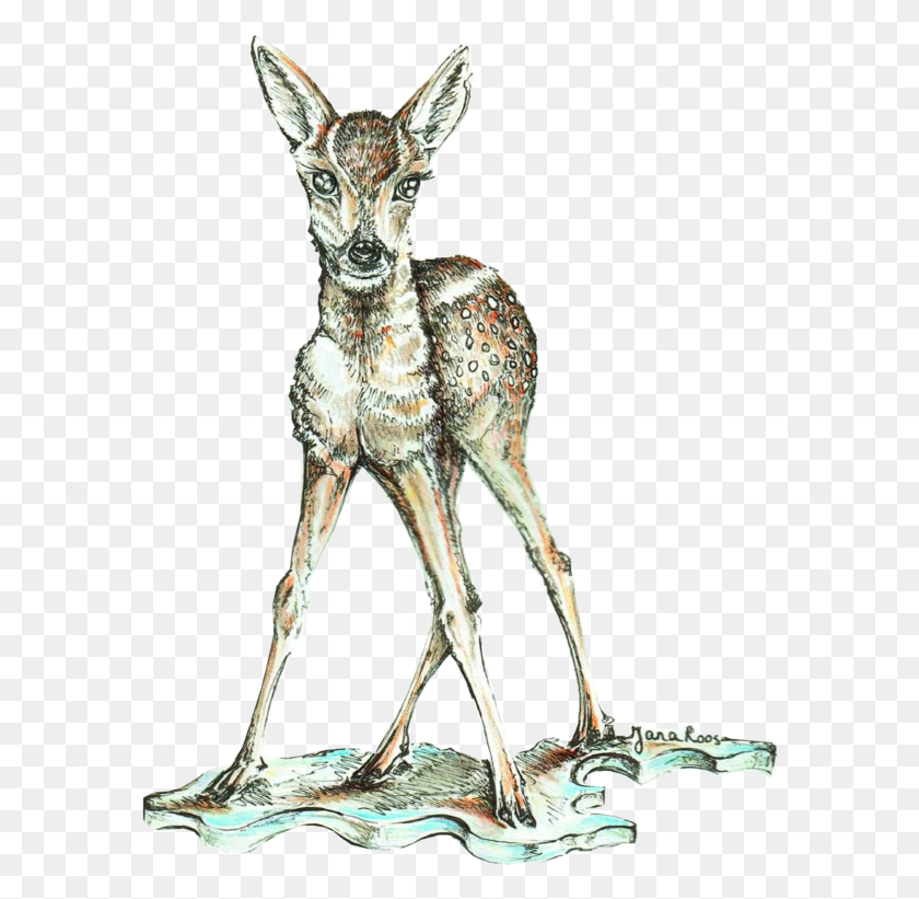 582x761 Hand Drawn Illustration, Alien, Antelope, Wildlife Descargar Hd Png
