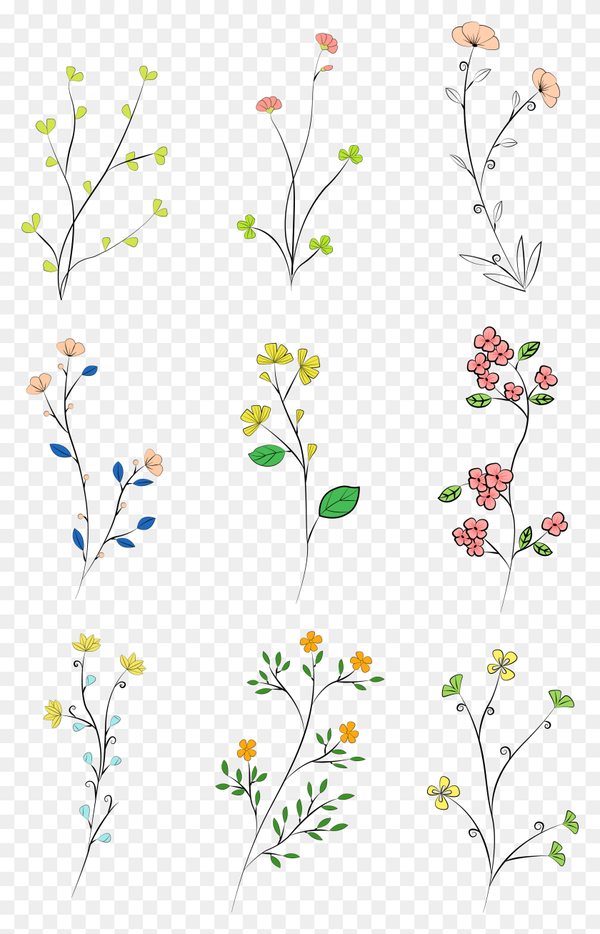 3247x5195 Hand Drawn Leaves Colored Plants And Vector Image, Paper, Confetti HD PNG Download