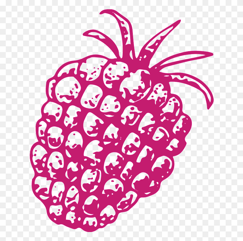 638x773 Hand Drawn Pineapple Transparent Vegetables, Plant, Raspberry, Fruit HD PNG Download