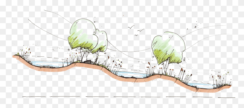 3840x1550 Hand Drawn Trees Elevation Hand Drawn, Clothing, Apparel HD PNG Download