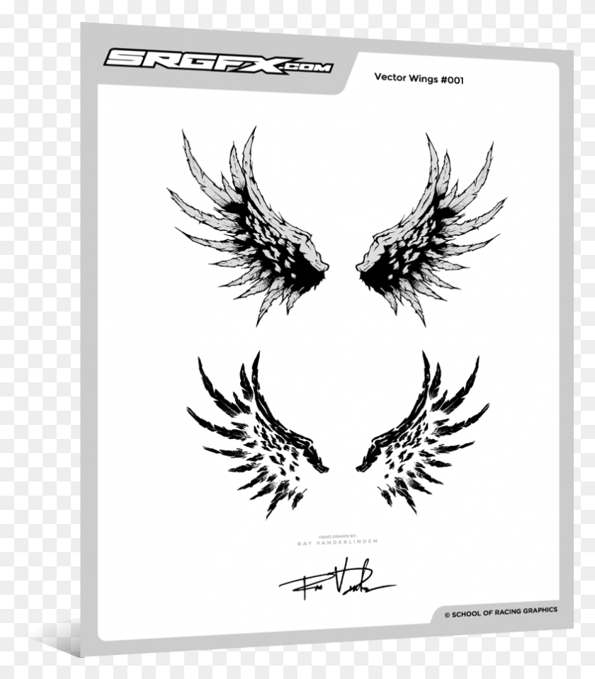 785x905 Hand Drawn Vector Wings Accipitridae, Text, Stencil, Symbol HD PNG Download