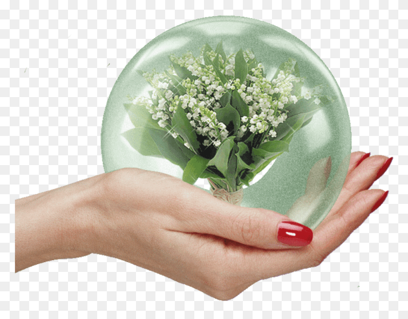 967x741 Hand Globe Freetoedit Lily Of The Valley Gif, Person, Human, Plant HD PNG Download