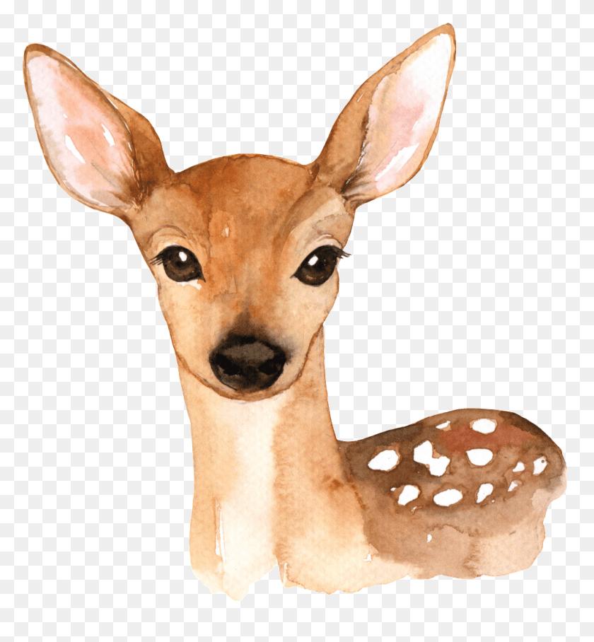 983x1069 Hand Painted A Cute Deer Transparent Free Watercolor Woodland Animal Printables, Wildlife, Mammal, Antelope HD PNG Download