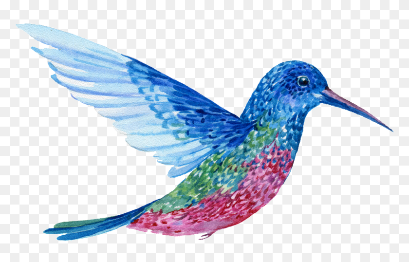 977x599 Pintado A Mano De Un Pájaro De Colores Voladores, Animal, Bluebird, Jay Hd Png