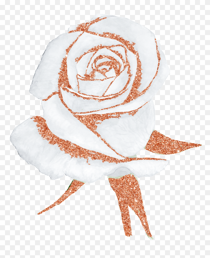1024x1276 Ручная Роспись Белой Розы На Прозрачном Фоне, Роза, Цветок, Растение Hd Png Скачать