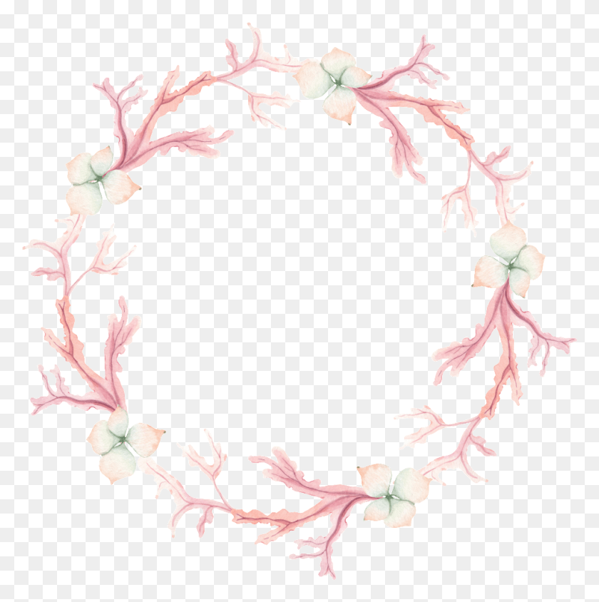 969x975 Hand Painted Art Wreath Transparent Watercolor Coral Wreath, Plant, Flower, Blossom Descargar Hd Png
