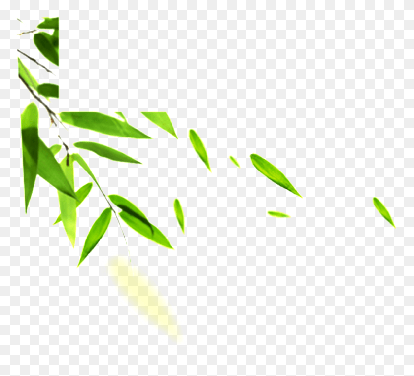 934x842 Раскрашенные Вручную Листья Бамбука Лист Изображения, Растение, Растительность, Цветок Hd Png Скачать