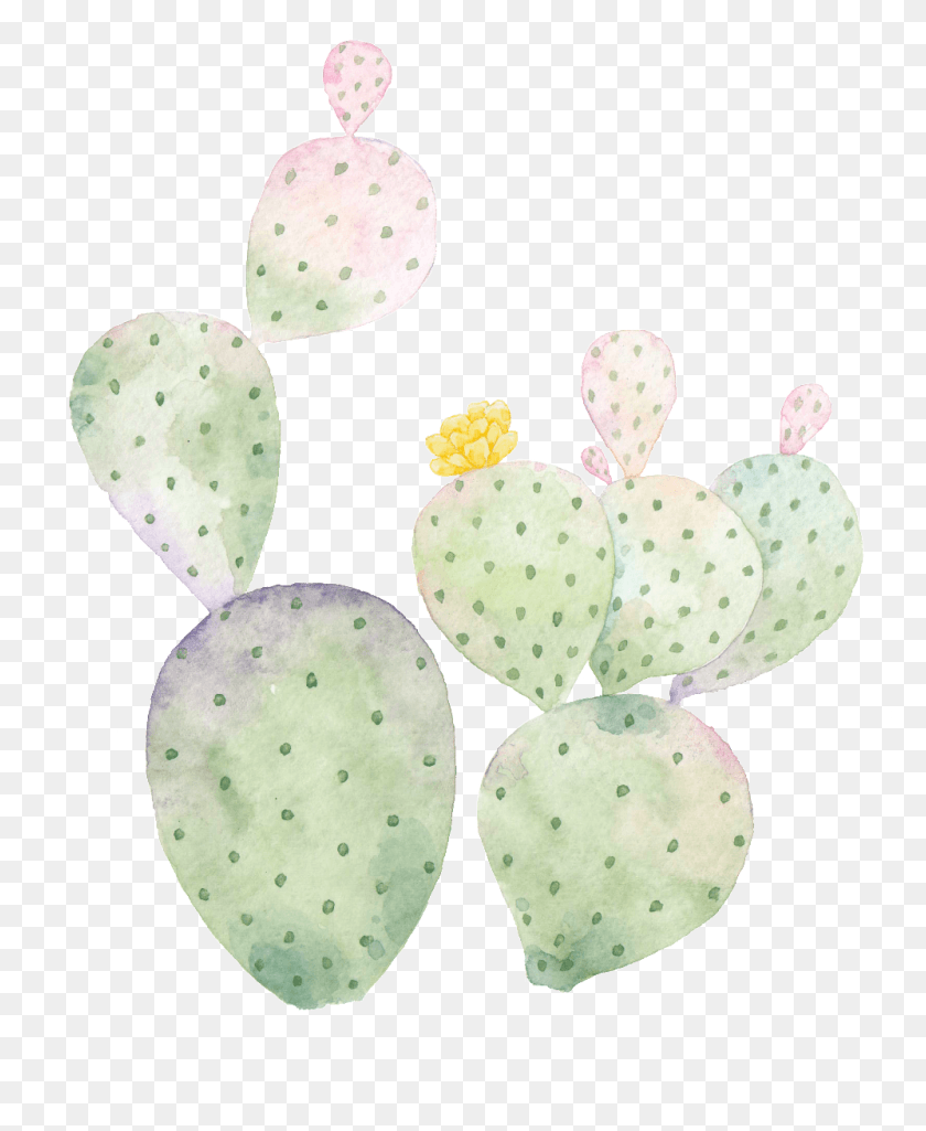 997x1234 Hand Painted Cactus Transparent Cactus Y Plantas, Plant, Fungus, Food HD PNG Download
